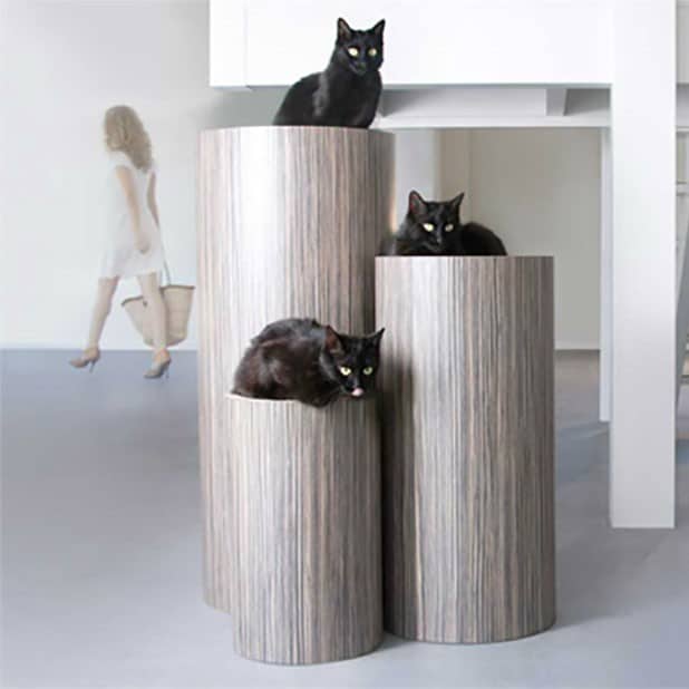 Arbre à Chat Design Saltato